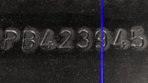 Förekomma eller förekommas